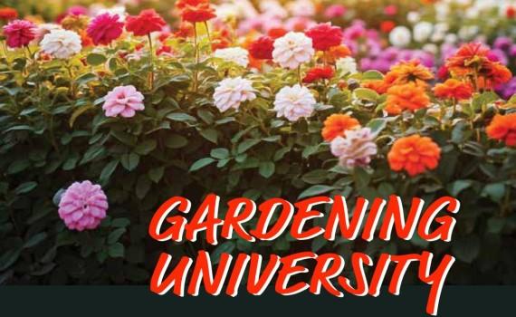 GardeningUniversity Gardening University Flyer