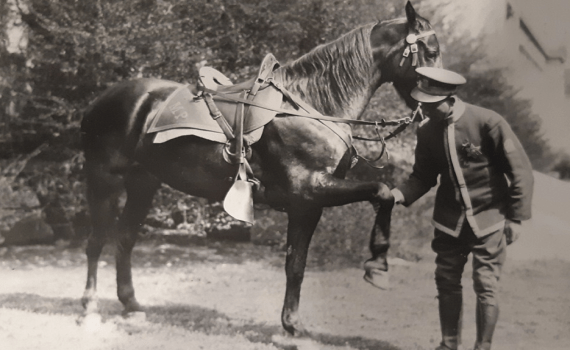 screenshot from article - Gray Hat Mystery