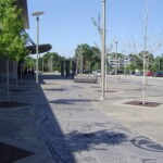 Central Library Sidewalk (2)