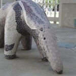Anteater in the "Rainforest Treasures" Courtyard