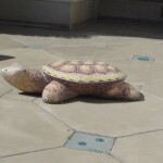 Turtle in the "Rainforest Treasures" Courtyard
