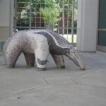 Anteater in the "Rainforest Treasures" Courtyard (2)