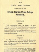 This is a standard form sent out by the National-American Woman Suffrage Association for local organizations. This copy has been filled out by the Memphis organization. Also mentioned is the Tennessee Equal Suffrage Association, the state organization. The document comes from the papers of Martha Allen, a prominent Memphis suffragist.